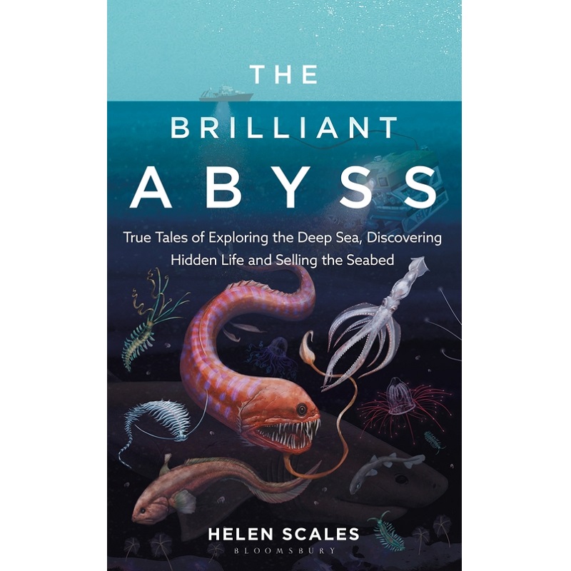 The Brilliant Abyss