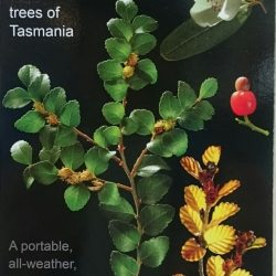 Treeflip