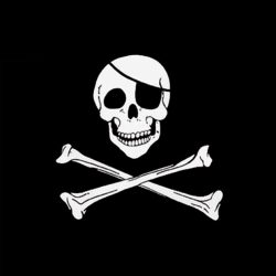 Jolly Roger / Pirate Flag