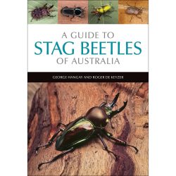 A Guide to Stag Beetles of Australia