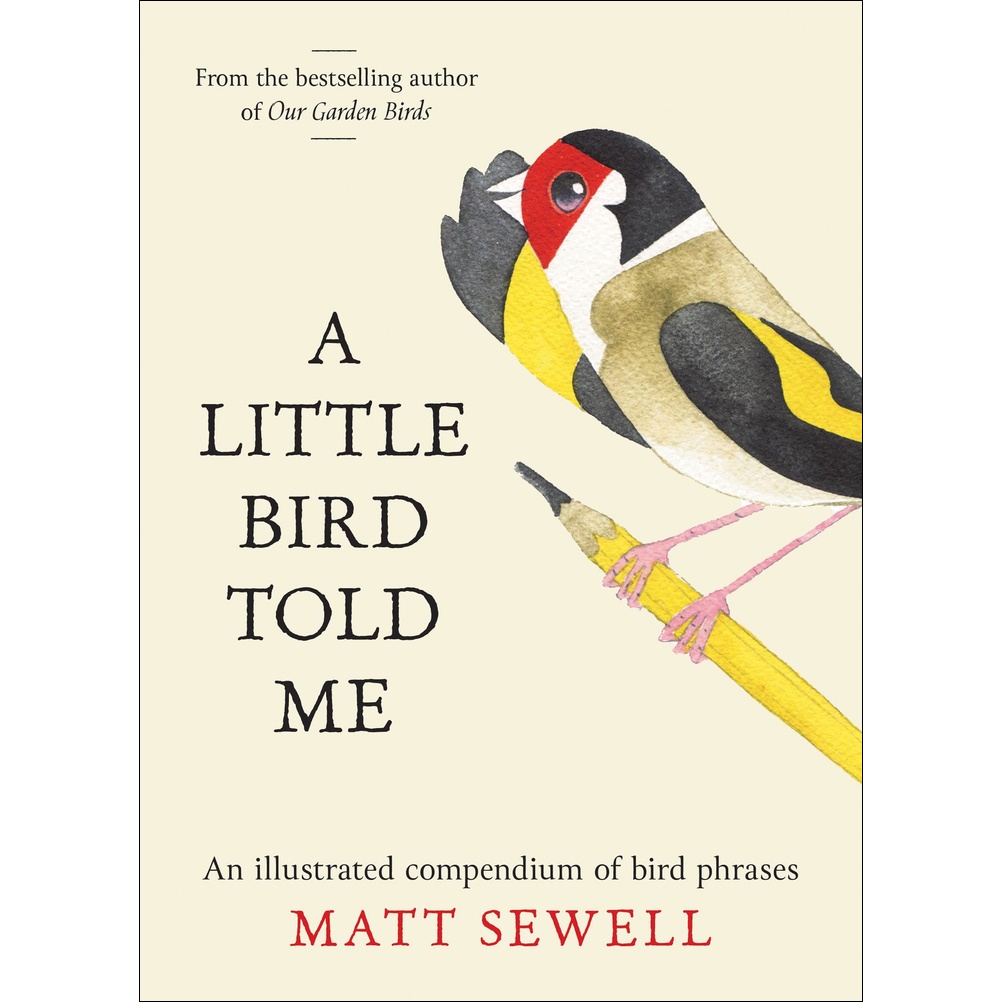A Little Bird Told Me