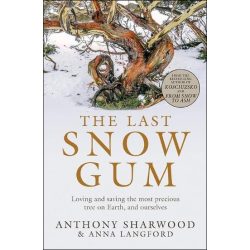 The Last Snow Gum